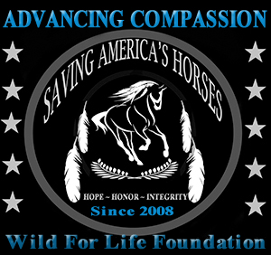 News  Wild Horse Fdn