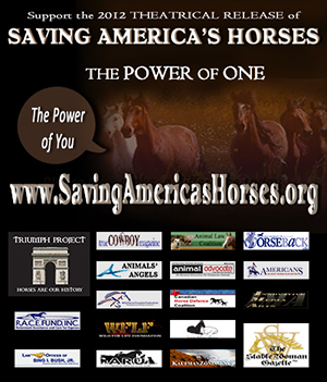 SAH Theatrical Release Campaign